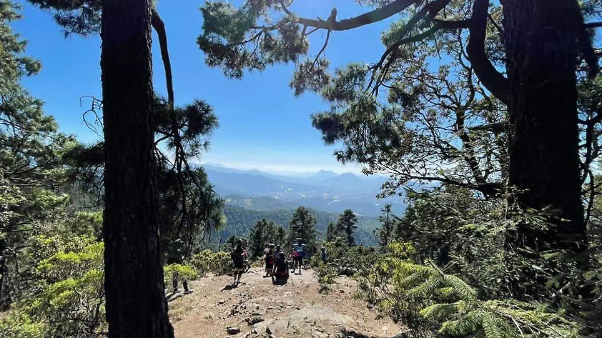 mirador del japonés